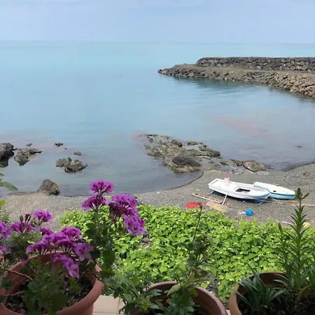 Laila Trabzon